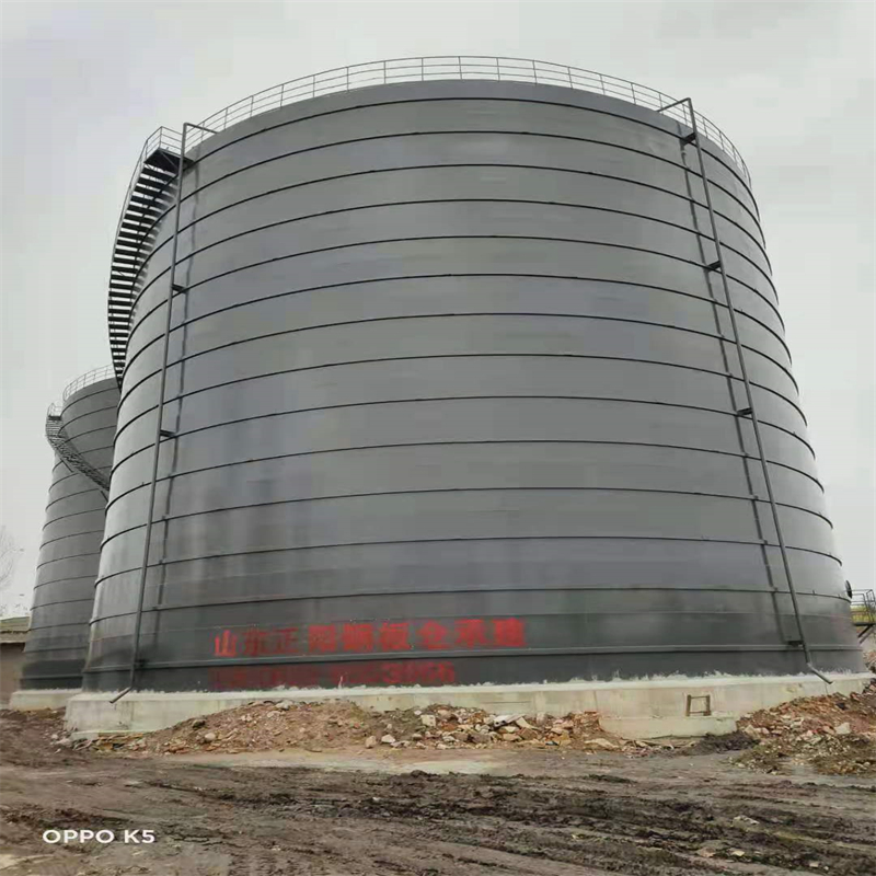 青川3万吨大型钢板库