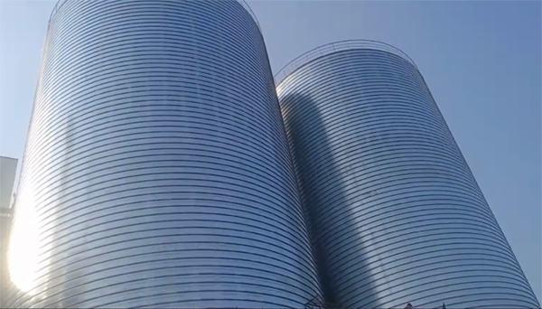 青川2座混凝土高架卷板仓